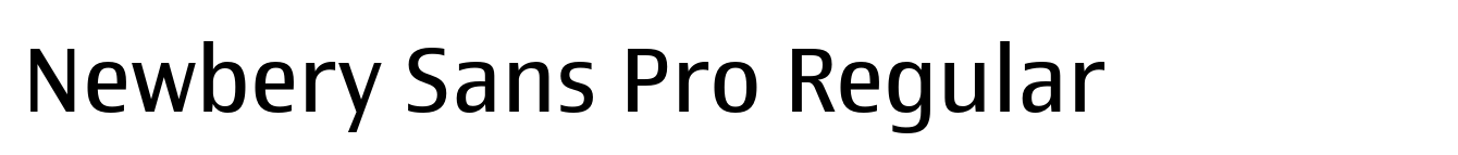 Newbery Sans Pro Regular